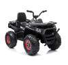 Детский квадроцикл с пультом 12V 2WD - XMX607-CARBON-PAINT