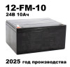 Аккумулятор XINLEINA 24V10Ah/20HR 12-FM-10 - X-12FM10