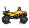 Детский квадроцикл двухместный BRP Can-Am Outlander (24V, полный привод, желтый) - DK-CA005-YELLOW