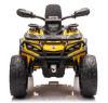Детский квадроцикл двухместный BRP Can-Am Outlander (24V, полный привод, желтый) - DK-CA005-YELLOW