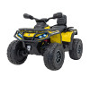 Детский квадроцикл двухместный BRP Can-Am Outlander (24V, полный привод, желтый) - DK-CA005-YELLOW