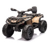 Детский квадроцикл двухместный BRP Can-Am Outlander (24V, полный привод, хаки) - DK-CA005-KHAKI