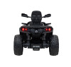 Детский квадроцикл двухместный BRP Can-Am Outlander (24V, полный привод, черный) - DK-CA005-BLACK