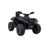 Детский квадроцикл двухместный BRP Can-Am Outlander (24V, полный привод, черный) - DK-CA005-BLACK