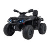 Детский квадроцикл двухместный BRP Can-Am Outlander (24V, полный привод, черный) - DK-CA005-BLACK
