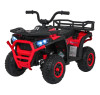 Детский электромобиль квадроцикл X-Robust (красный, 24V, 4WD, пульт, EVA) - XMX651-24V-4WD-RED