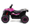 Детский квадроцикл HL Renegade X 2WD EVA 12V - HL578-PINK