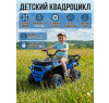 Детский электромобиль квадроцикл X-Robust (синий, 24V, 4WD, пульт, EVA) - XMX651-24V-4WD-BLUE