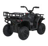 Детский электромобиль квадроцикл X-Robust (черный, 24V, 4WD, пульт, EVA) - XMX651-24V-4WD-BLACK