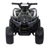 Детский квадроцикл HL Renegade 2WD EVA 12V - HL578-CARBON