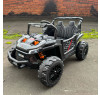 Детский электромобиль Багги (2WD, EVA, 24V, 130Вт) - AHL015-CARBON